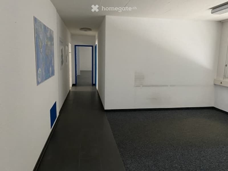 Empty room, white walls, black floor, blue door, picture on the wall
