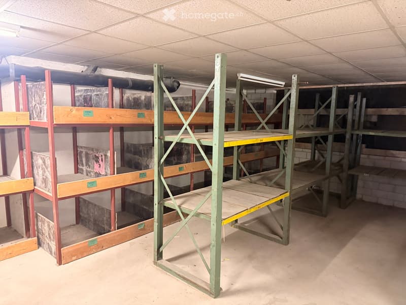 Storage room with metal shelves, wooden shelves, and brick walls