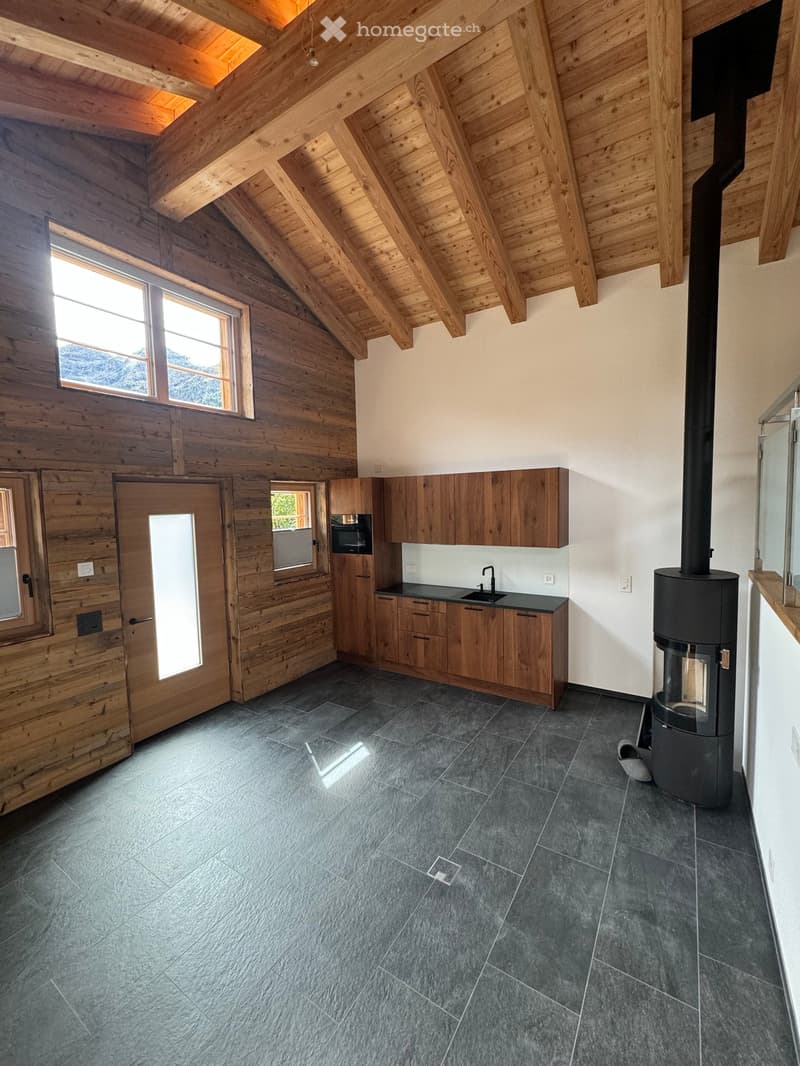 wooden walls, wooden ceiling, fireplace, kitchen with cabinets, sink, oven, countertop, tiled floor