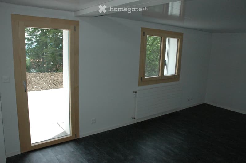 empty room, white walls, wooden door, glass door, window, balcony, black floor