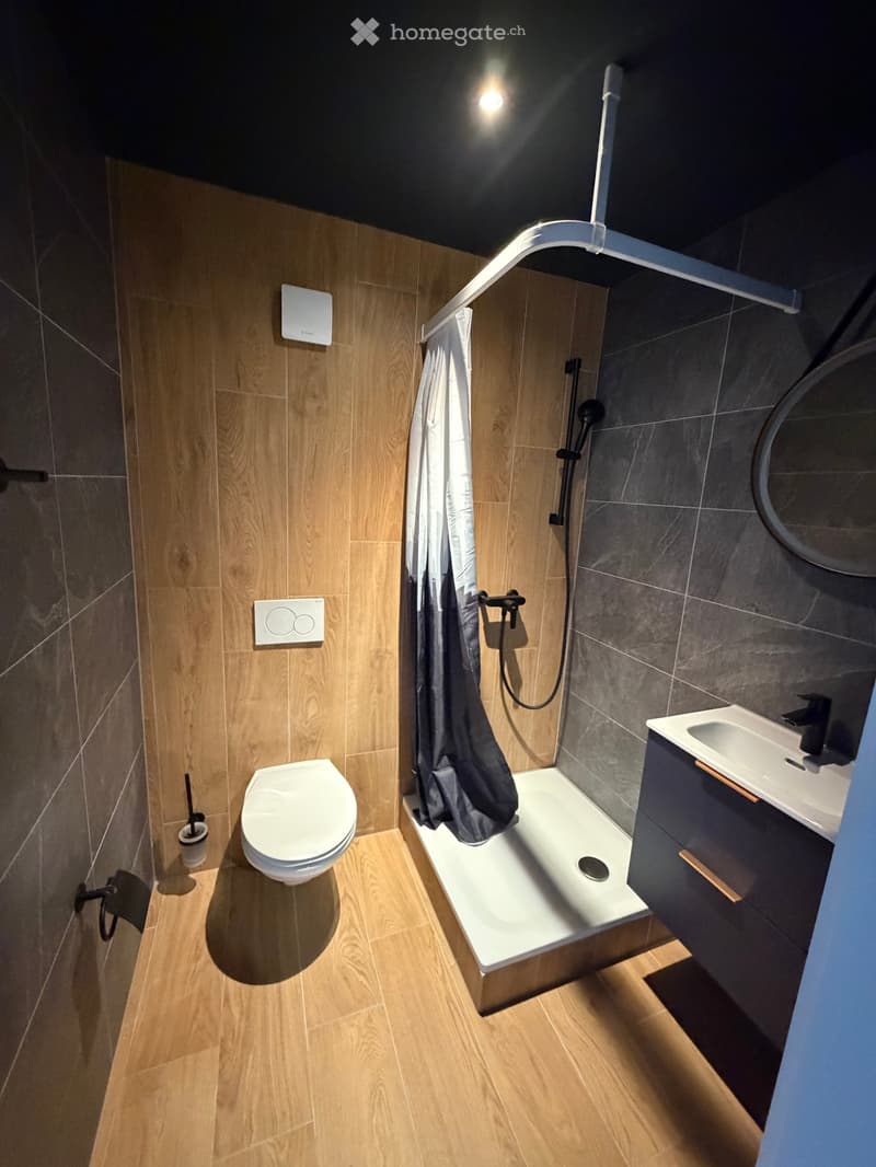 small bathroom with wooden floor, white toilet, shower, sink, mirror