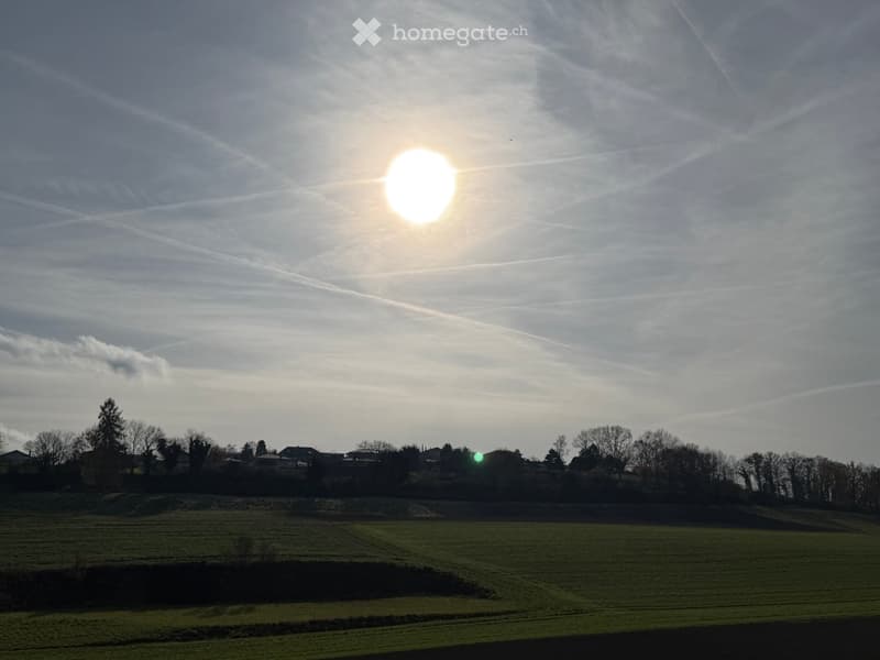 green field, trees, houses, bright sun, cloudy sky