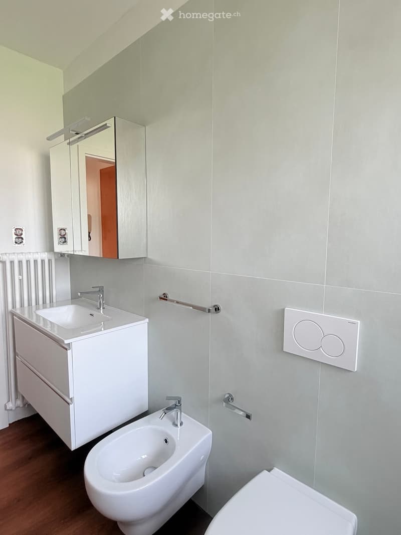 Bathroom. Modern bathroom with a white sink, mirror cabinet, bidet, toilet, and radiator. Grey tiled walls and wooden flooring.