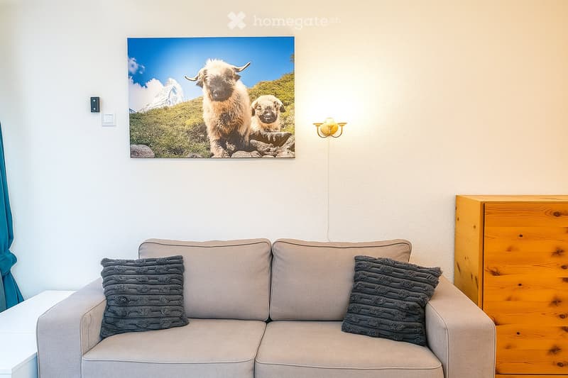 A living room with a gray couch, two pillows, a wooden cabinet, a wall-mounted photo, and a wall lamp.