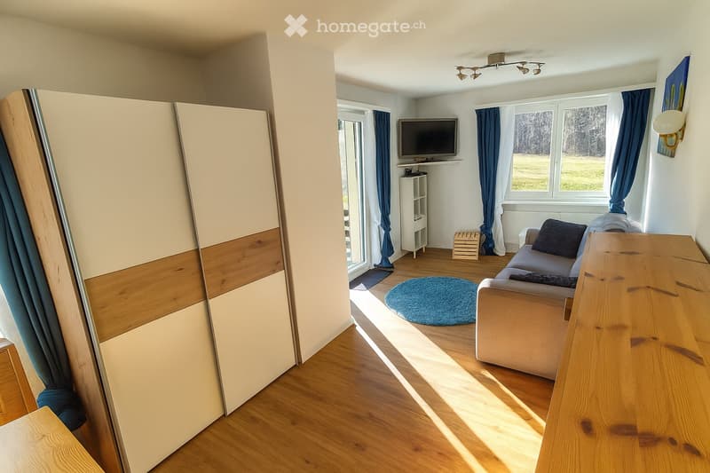 Living room with couch, TV, rug, wooden floor, sliding glass door, wardrobe, wooden table, radiator, wall art, ceiling lights