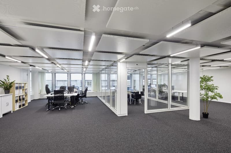 Open plan office with glass walls, white walls, grey carpeting, white ceiling with lights, white office furniture, plants.
