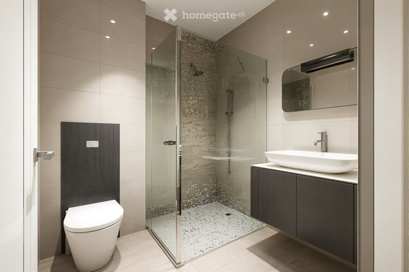 Modern bathroom with a glass shower enclosure, white toilet, and a white sink with a faucet.