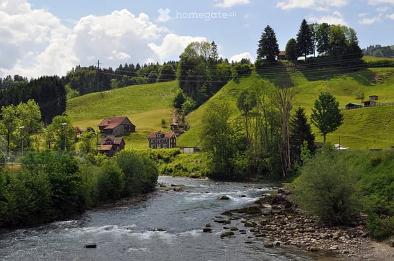Neubau-Bauernhaus mit Minergie-Standard in idyllischer Lage (3)
