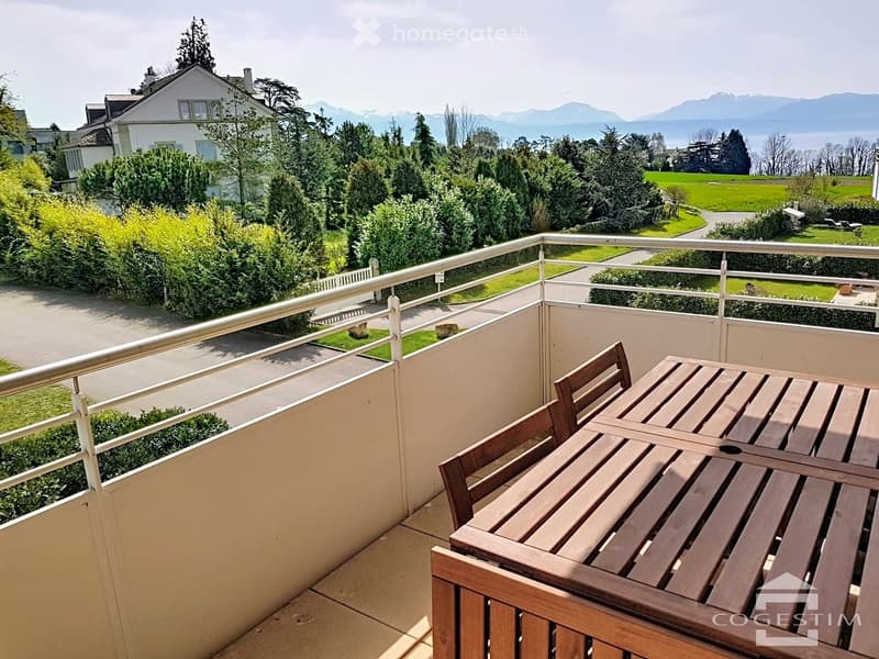 Bel appartement lumineux de 4,5 pièces avec vue sur le Léman et les Alpes (1)