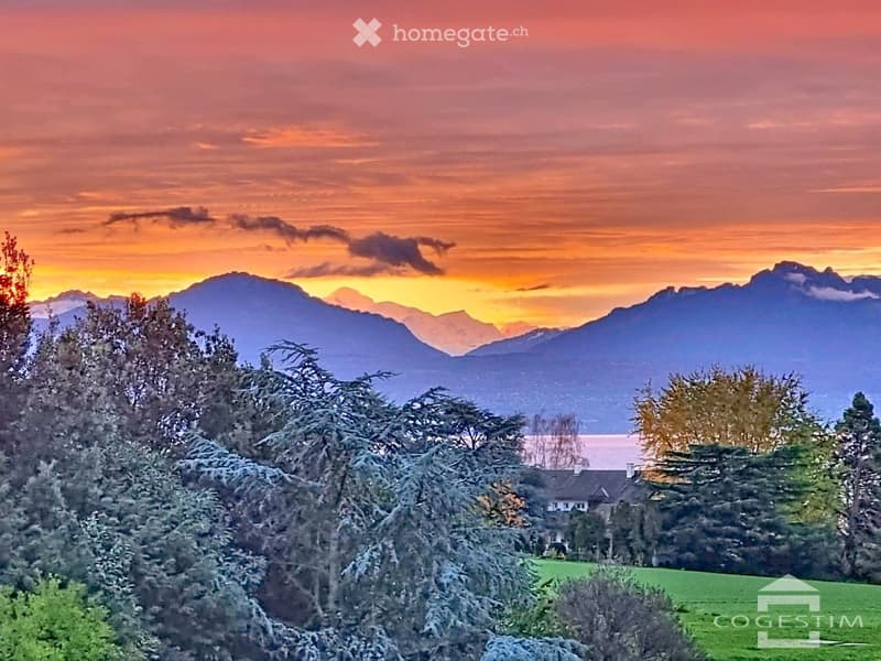Bel appartement lumineux de 4,5 pièces avec vue sur le Léman et les Alpes (9)