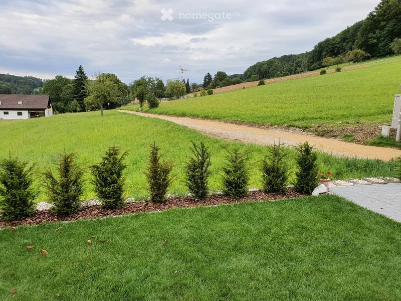 Garden / Outdoor Area. A well-maintained garden with a row of neatly trimmed hedges, a gravel pathway leading to a house, and a green field in the background.