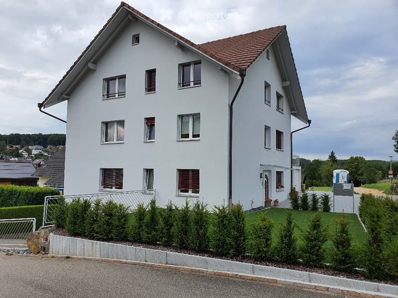 House. Modern two-story house with a brown roof, white walls, and multiple windows. The house has a well-maintained garden with neatly trimmed hedges and a small lawn. There are potted plants and flowers near the entrance.