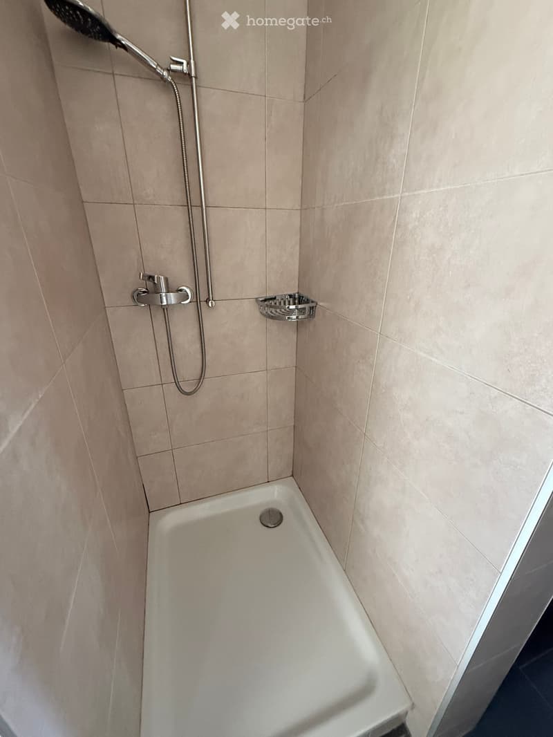 Appartement 3 pièces au 3ème étage – Rue des Fleurs 24, La Chaux-de-Fonds (14)