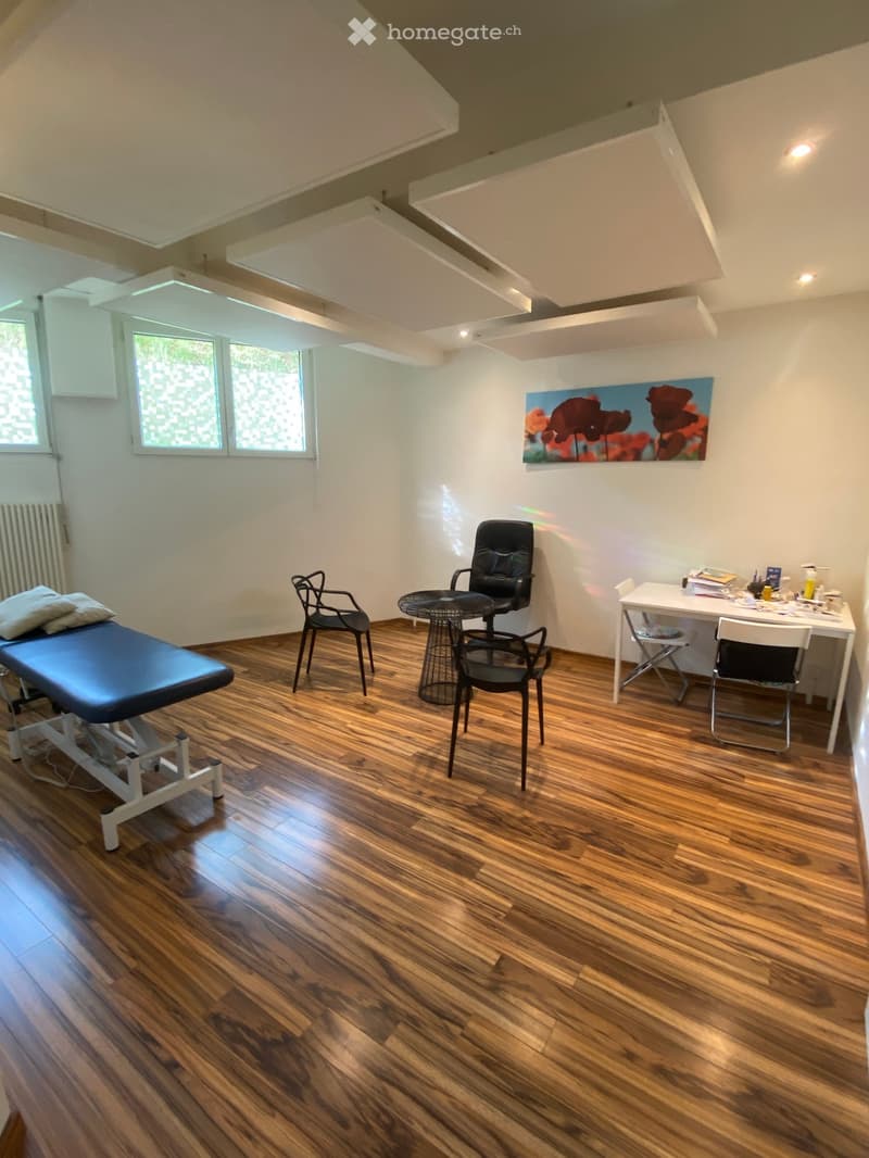 Furnished Room. A room with a massage table, chairs, a desk, a painting, pillows, and a radiator.
