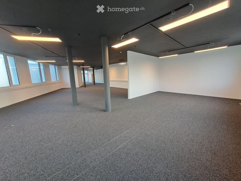Empty room with grey carpeted floor, white walls, large windows, and industrial-style lighting fixtures.