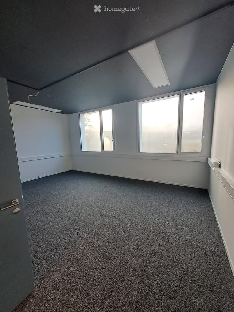 Empty room with grey carpeted floor, white walls, large windows, and a door with a silver handle.