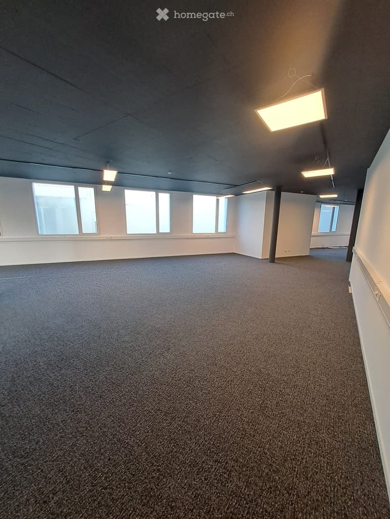 Empty room with grey carpeted floor, white walls, large windows, and overhead lighting fixtures.