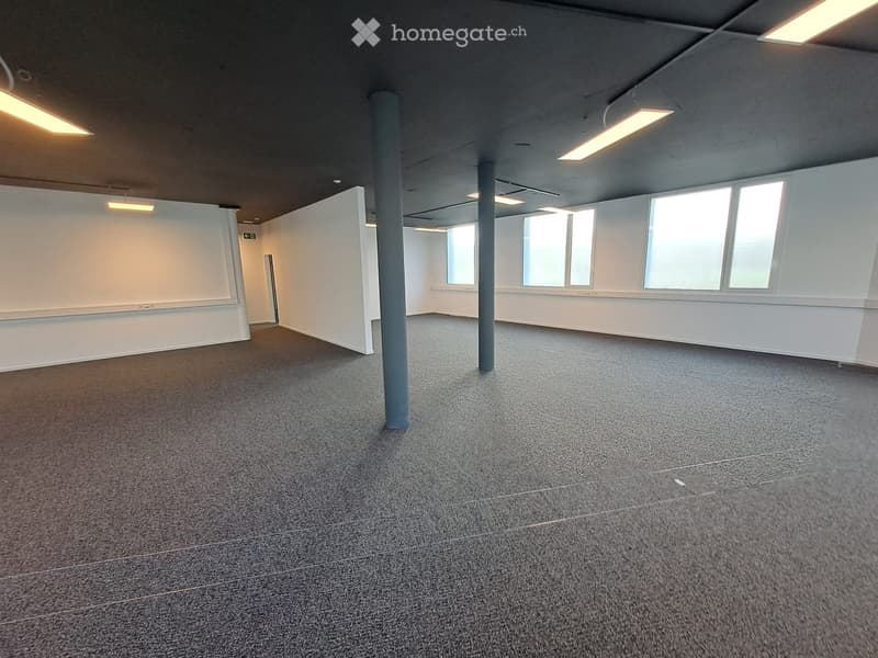 Empty room with grey carpeted floor, white walls, large windows, and structural pillars.