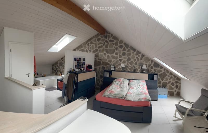 Maison contiguë à Veyrier (9)