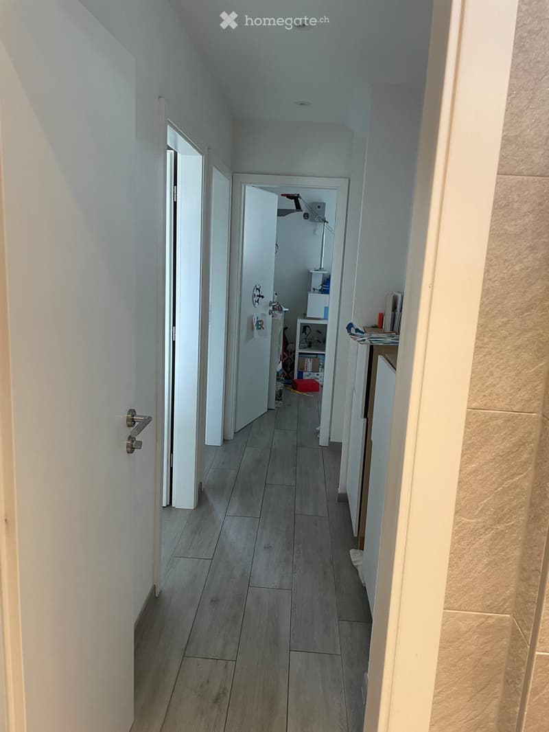 Maison contiguë à Veyrier (6)