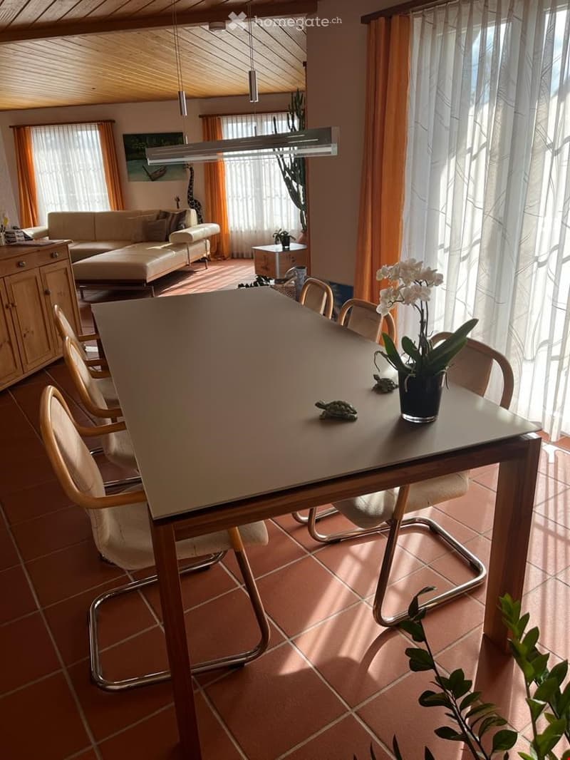 Grosses Einfamilienhaus mit Traumaussicht (8)