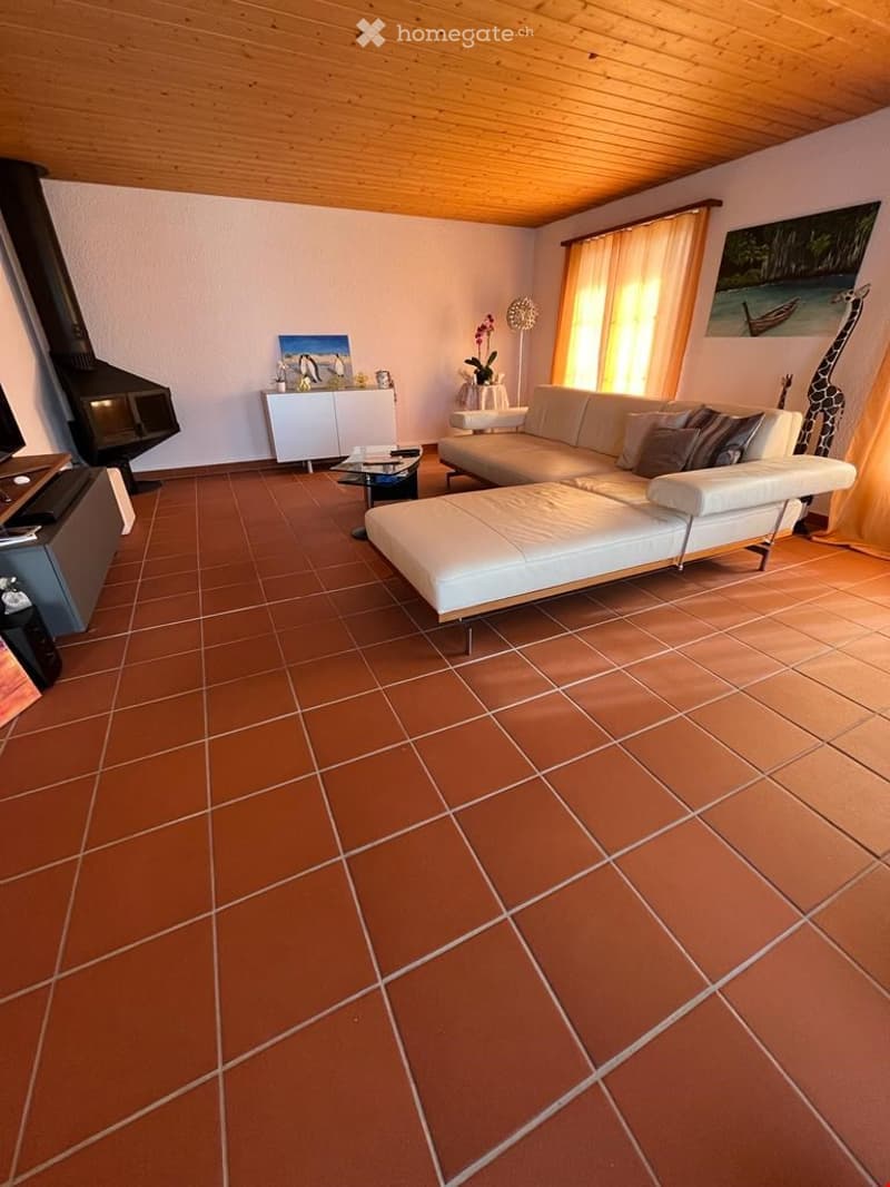 Grosses Einfamilienhaus mit Traumaussicht (7)