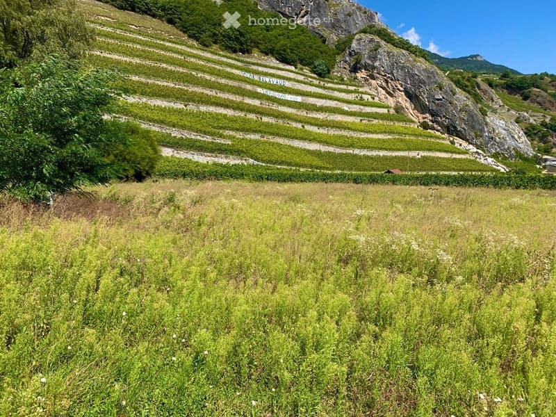 Terrain à bâtir à Vétroz (2)