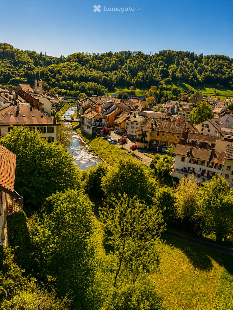 Majestueuse maison de caractère de 10 pièces à Moudon (9)