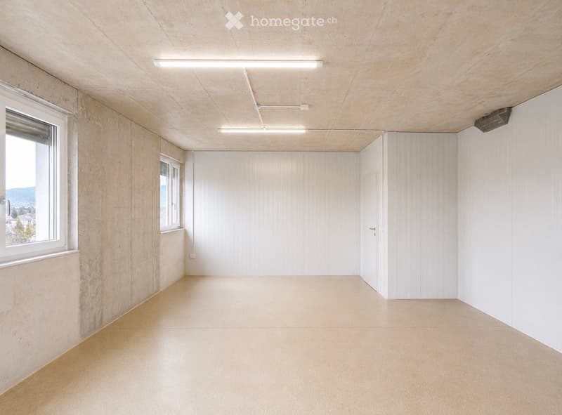 Unfurnished Room. Empty room with white walls, light wooden ceiling, and large windows, featuring a smooth concrete floor and minimal lighting.