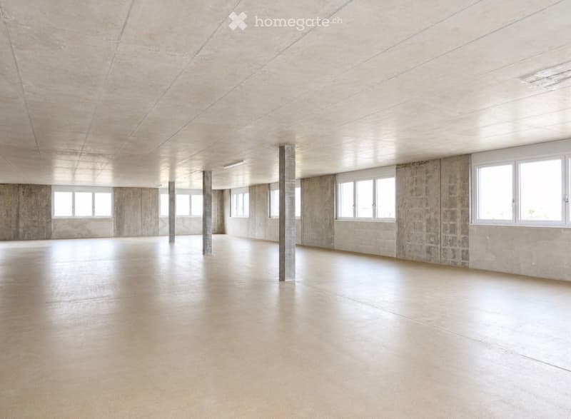 Unfurnished Room. Empty room with bare concrete walls, polished concrete floor, and large windows allowing natural light. No furniture or equipment present.