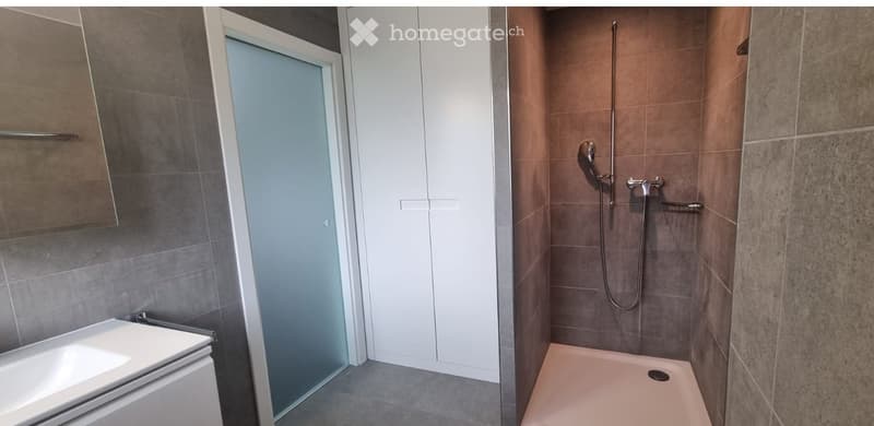 Modern bathroom with a white sink, mirror, glass shower enclosure, and a walk-in shower with a handheld showerhead and rail.