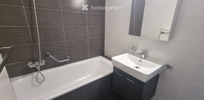 Modern bathroom with a white bathtub, a white sink with a modern faucet, a mirrored cabinet, and dark grey tiles on the walls.