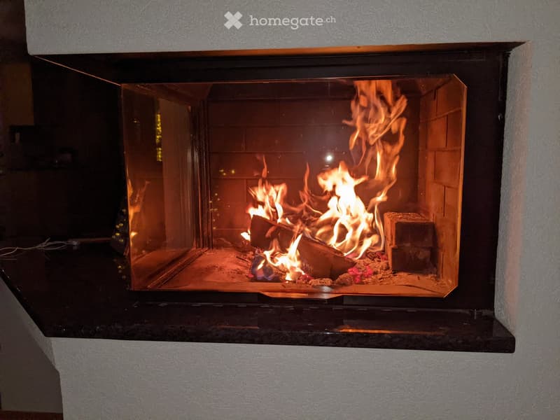 Other. A modern fireplace with a glass enclosure, actively burning wood and logs.