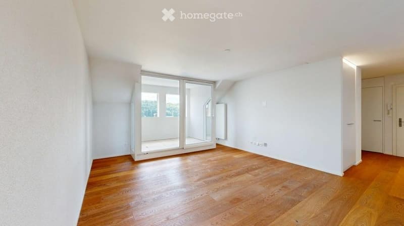 empty room, wooden floor, white walls, sliding glass door, balcony