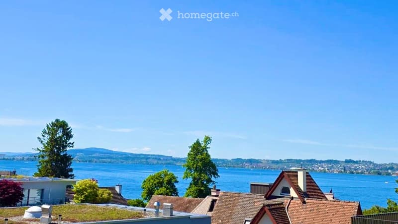 View of a residential area with houses, trees, and a lake in the background under a clear blue sky.