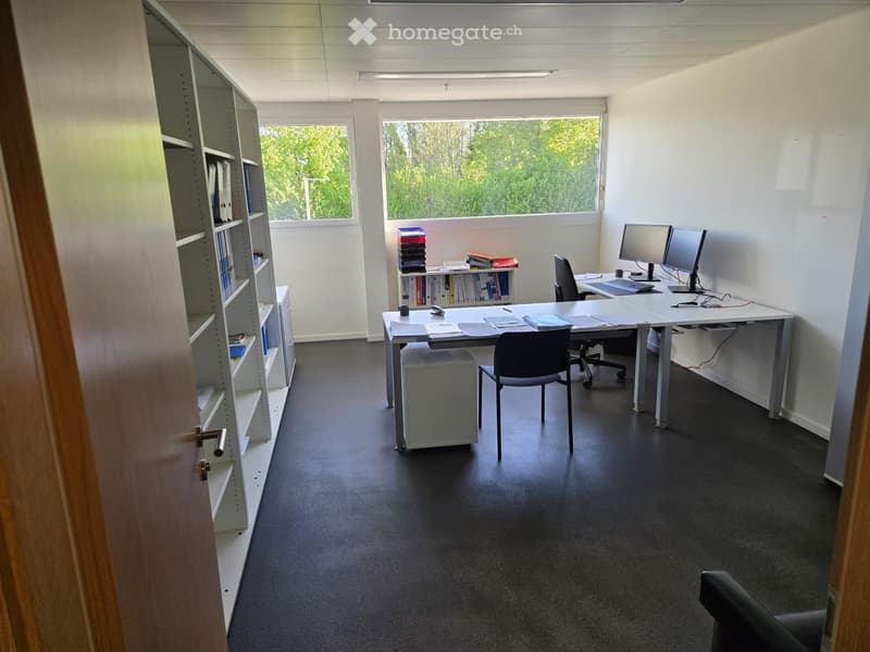 Furnished Room. Office space with two desks, chairs, computer screens, keyboards, shelves with books, and a telephone.