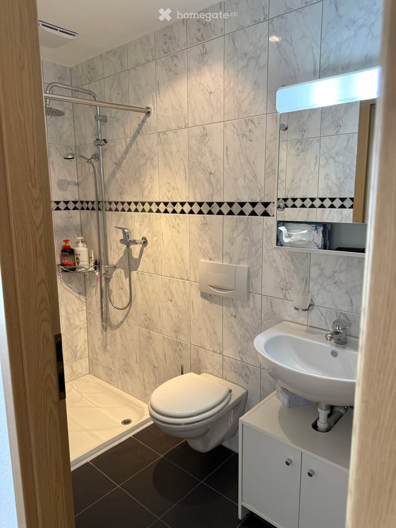 modern shower, white sink, white porcelain toilet, marble wall, mirror