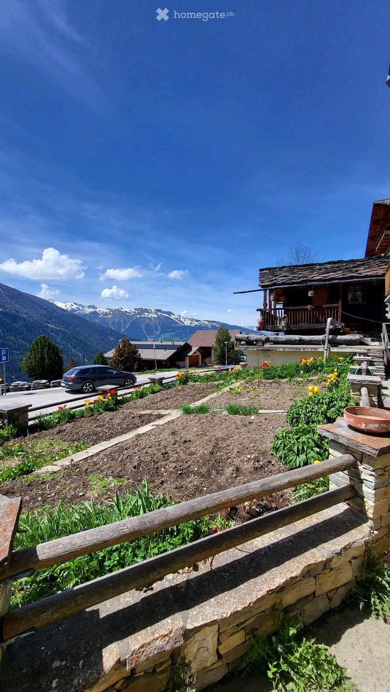 A garden area with a wooden fence, colorful flowers, and a view of mountains in the background.
