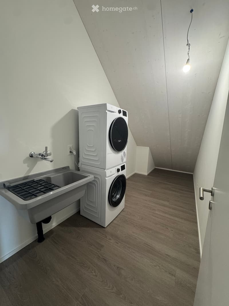 Small, well-lit room with a washing machine and a sink, featuring wooden flooring and white walls.