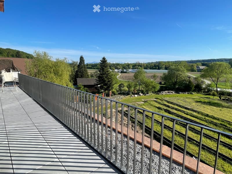A modern balcony with metal railings, overlooking a green landscape with trees, fields, and distant mountains.