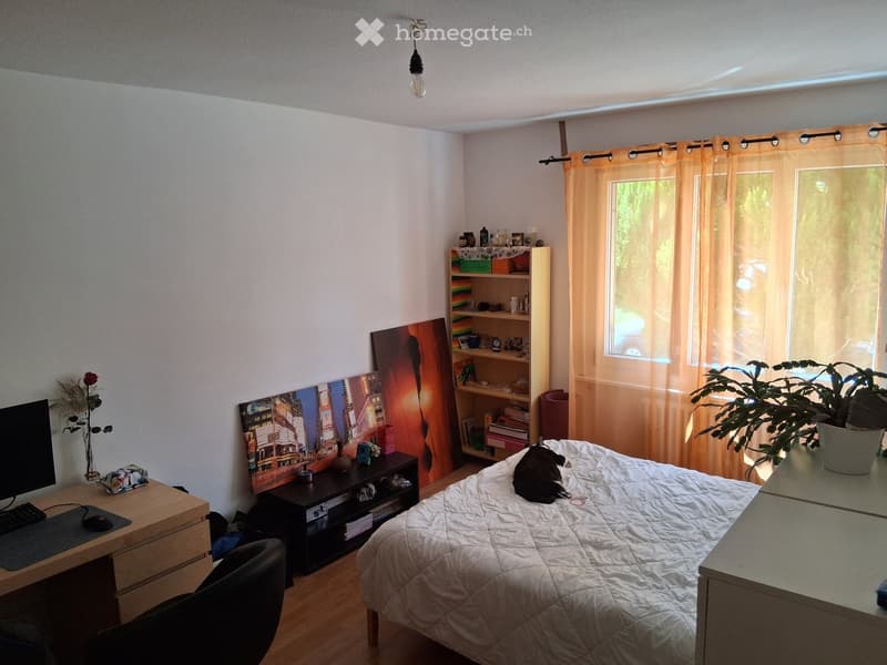Well-lit bedroom with a bed, desk, chair, shelf, plant, and artwork on the walls.