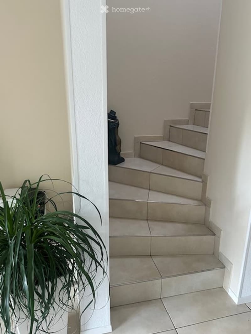 Hallway with a raised ground floor leading to a staircase, tiled steps, and a small plant on the left side.