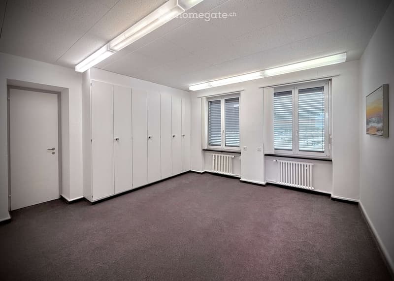Empty room with white walls, carpeted floor, built-in white cabinets, two windows with blinds, radiators, and a door.