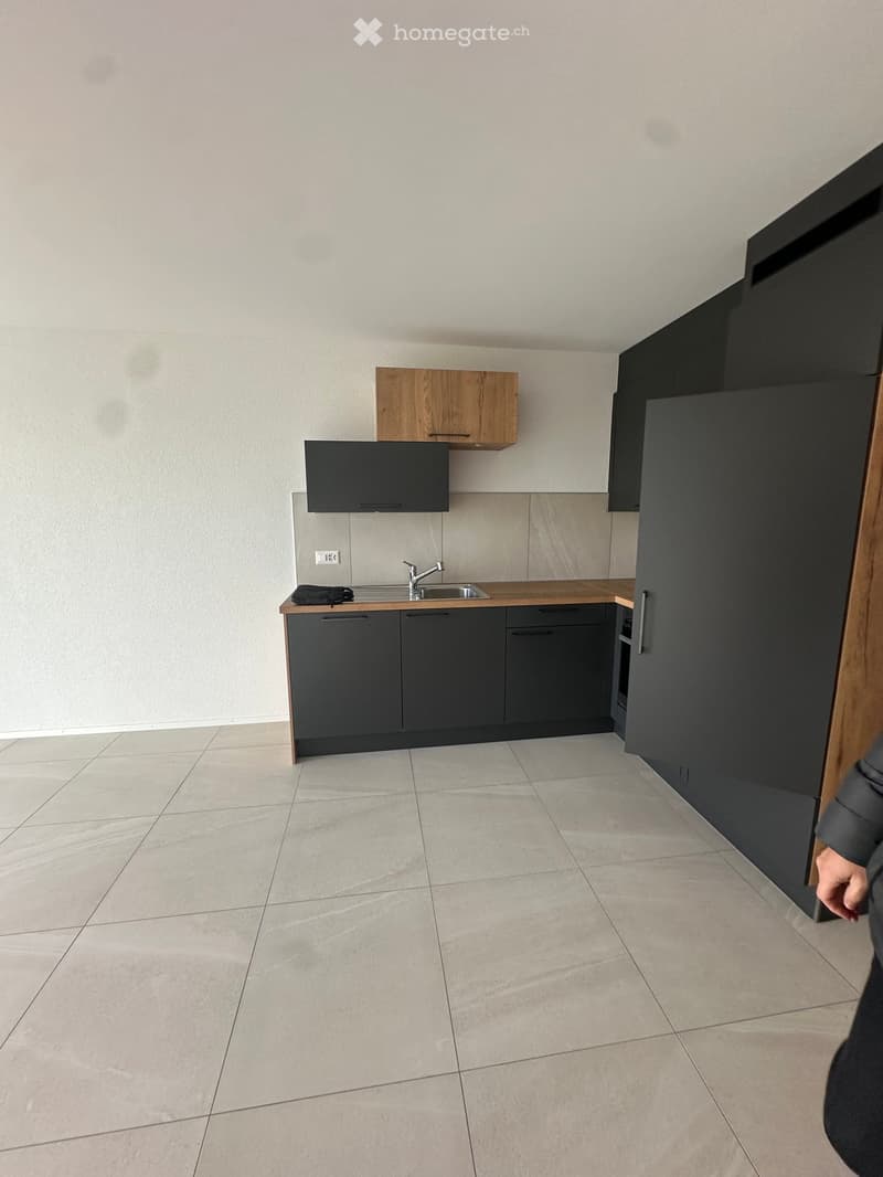 Empty kitchen with modern dark grey cabinets, wooden countertops, and a sink. The space is clean and unfurnished, with no appliances or items present.