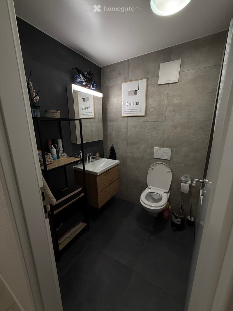 Modern bathroom with dark grey tiles, a white toilet, a wooden sink cabinet, a mirror, and a shelf with toiletries.