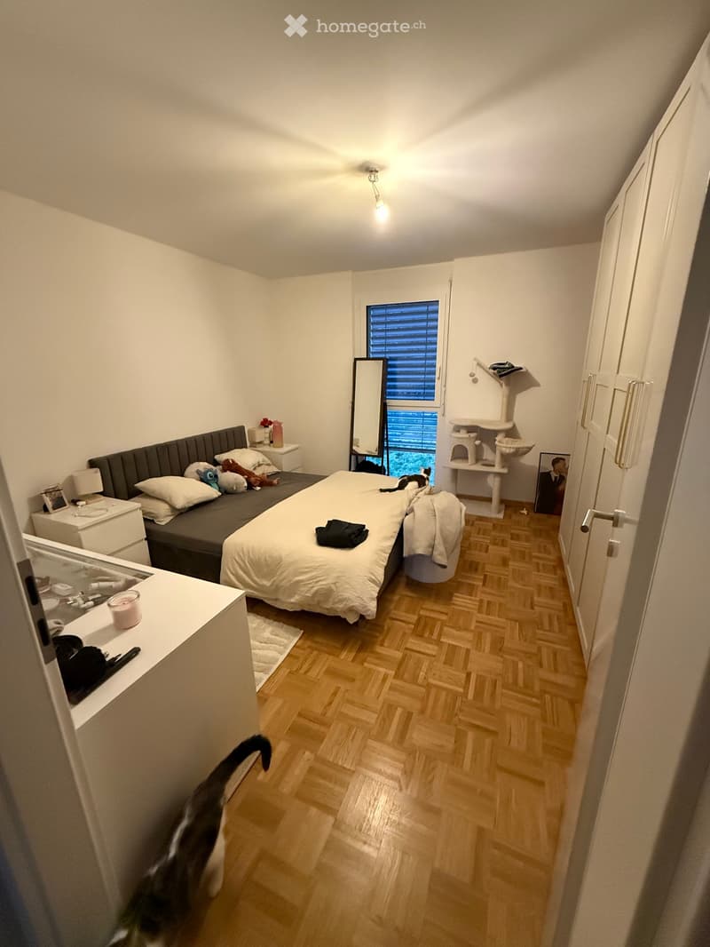 Cozy bedroom with a double bed, nightstands, a cat tree, and a cat. The room features wooden flooring and a large window with blinds.