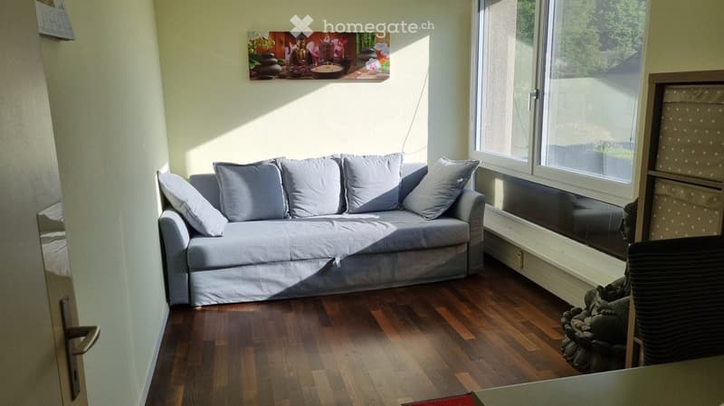 A cozy living room with a light blue sofa, multiple pillows, a wooden floor, a large window, a small statue, and a decorative picture frame on the wall.