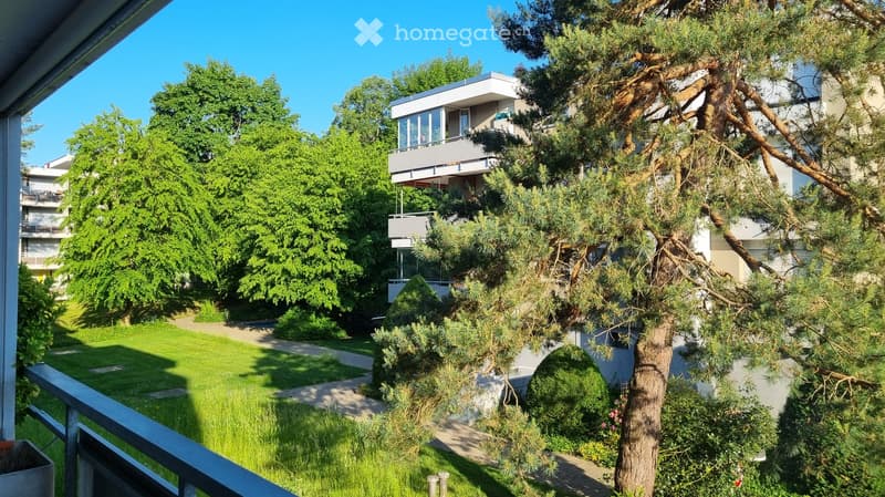 Balcony overlooking a well-maintained garden with a large tree, pathways, and neighboring buildings.