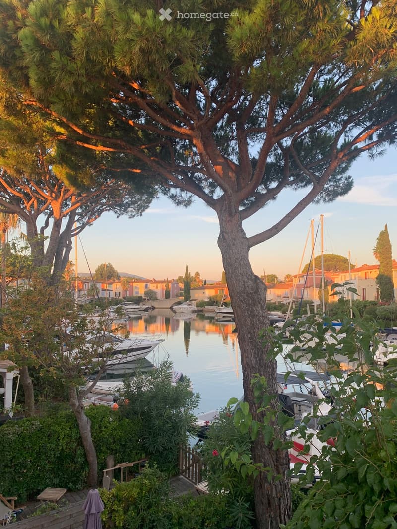A serene waterfront scene with a calm canal, several docked boats, and surrounding greenery, including trees and shrubs, with colorful houses in the background.