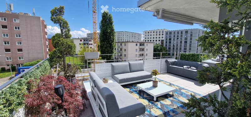 Balcony with modern grey sofa, coffee table, potted plants, and colorful rug.